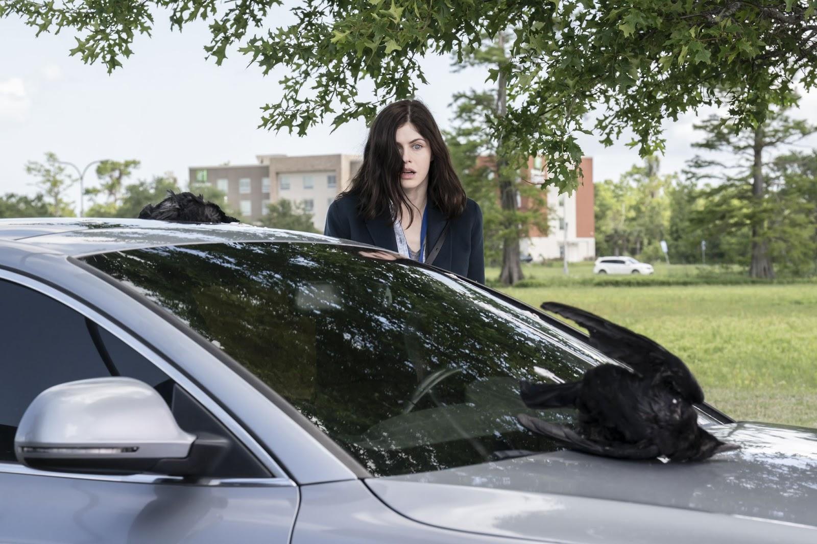dizi_45473839390 (8).jpg